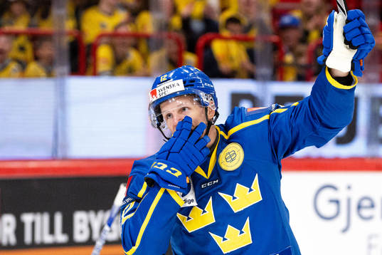 Max Friberg of Sweden celebrates the 1-0 goal