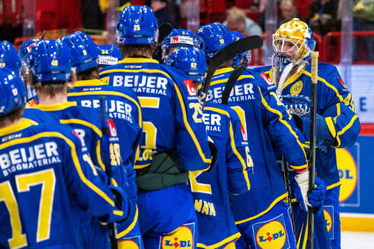 Players of Sweden celebrate winning the Beijer Hockey Games