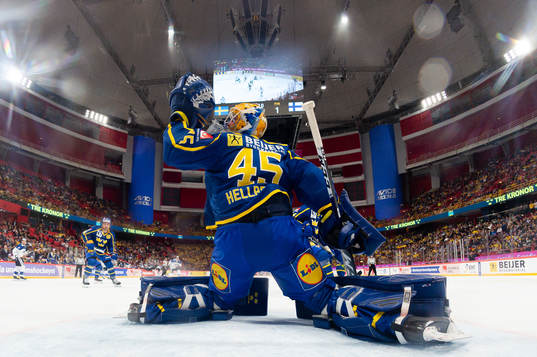 Goalkeeper Magnus Hellberg of Sweden