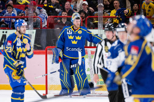 Goalkeeper Magnus Hellberg of Sweden looks dejected