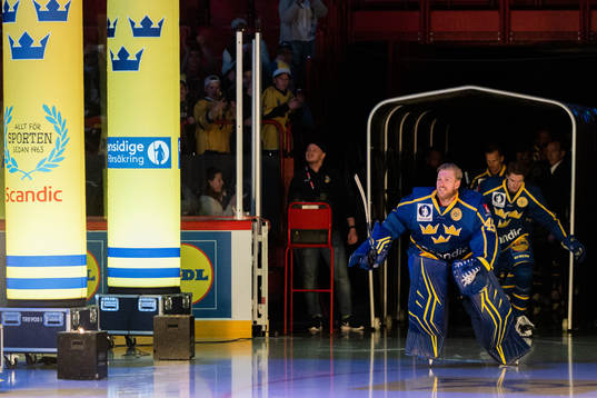 Goalkeeper Magnus Hellberg of Sweden