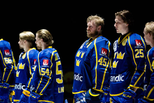 Goalkeeper Magnus Hellberg of Sweden