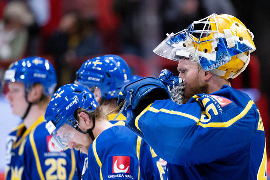 Goalkeeper Magnus Hellberg of Sweden looks dejected
