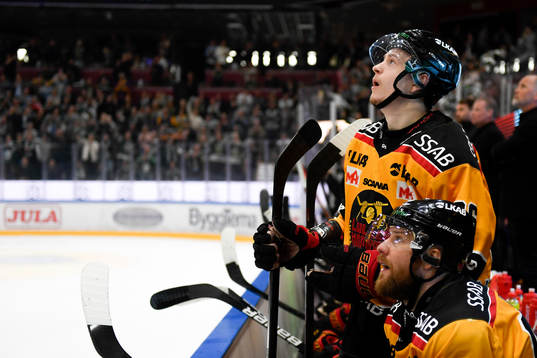 Luleås Radek Muzik och Linus Omark deppar