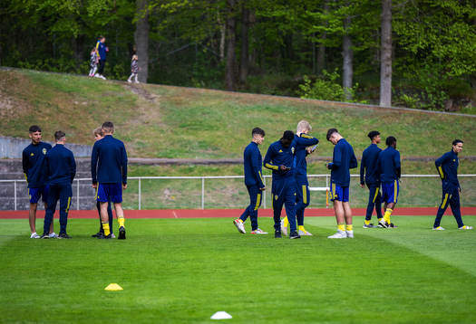 Sveriges spelare inspekterar planen