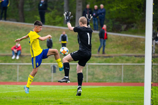 Sveriges Alexandru Ghita och Islands målvakt Ivar Arnbro
