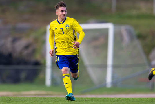 Sveriges Nino Bursic