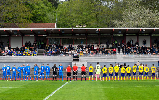 Islands och Sveriges spelare