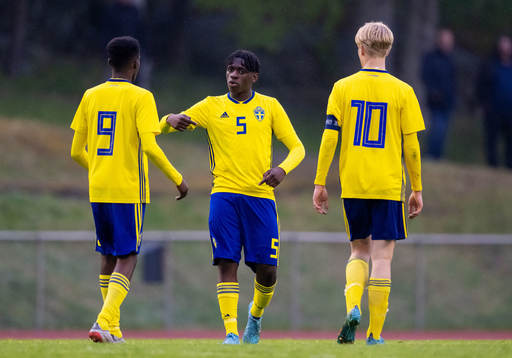 Sveriges William Rashidi