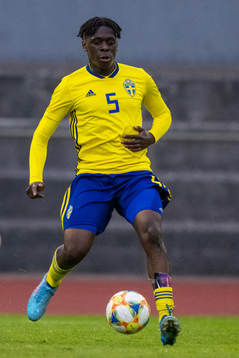 Sveriges William Rashidi