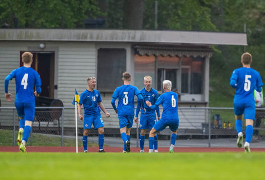 Islands Tómas Johannessen jublar med lagkamrater
