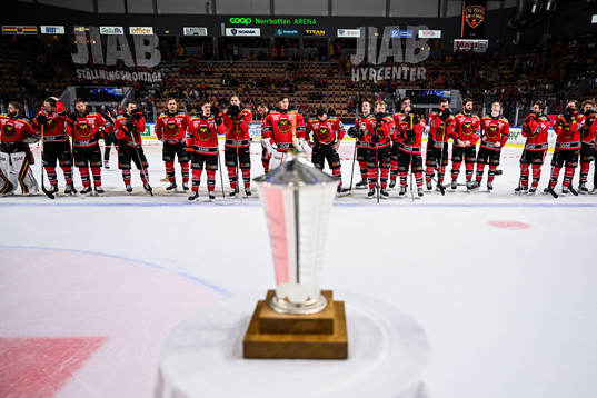 Luleås spelare deppar