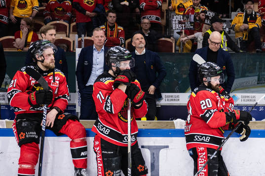 Luleås  tränare Thomas Berglund deppar