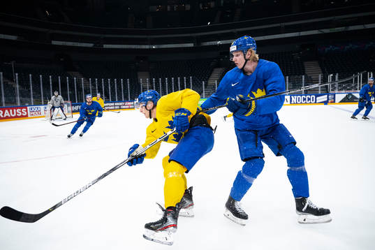 Max Friberg and Rasmus Dahlin
