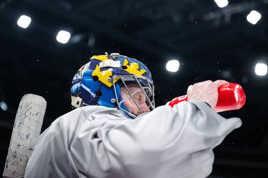 Goaltender Oscar Dansk