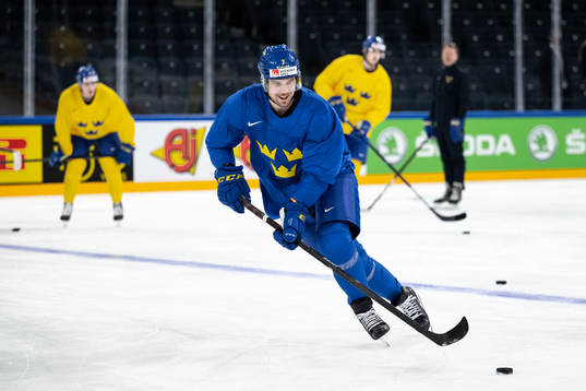 Henrik Tömmernes