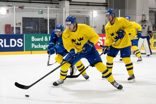 Linus Karlsson and Jonathan Pudas