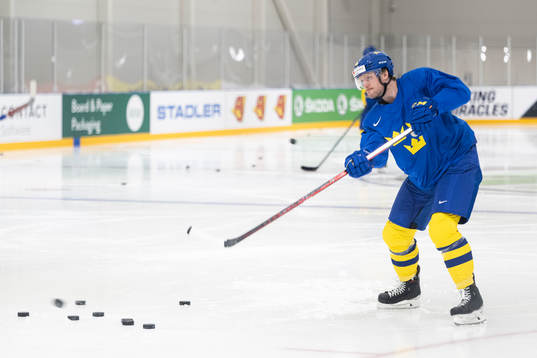 Carl Klingberg
