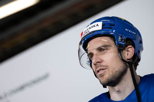 Henrik Tömmernes