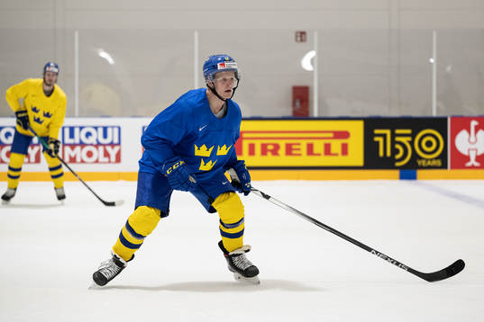 Max Friberg