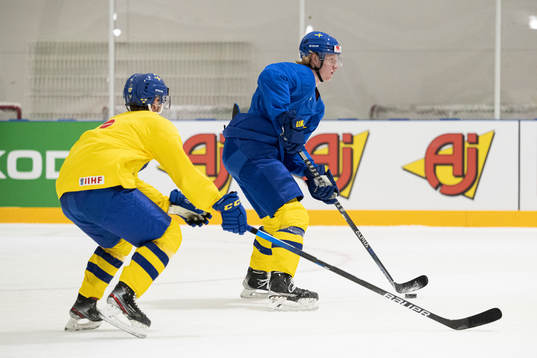 Rasmus Dahlin