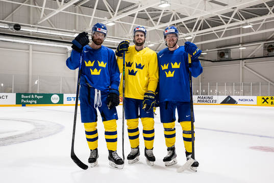 Adam Larsson, Oliver Ekman Larsson and Joakim Nordström of