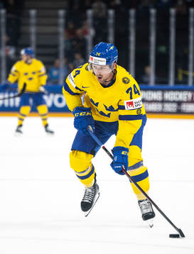 Rasmus Asplund of Sweden