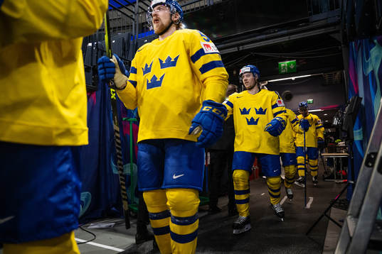 Players of Sweden