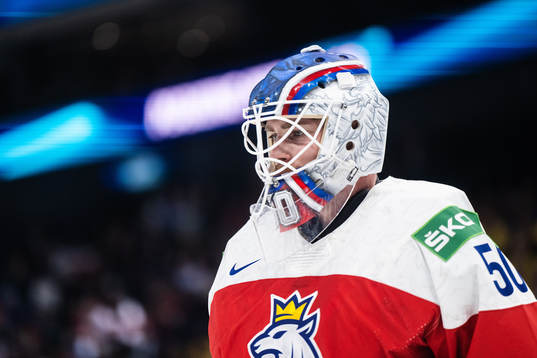 goaltender Karel Vejmelka  of Czech Republic