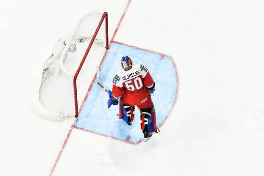 goaltender Karel Vejmelka of Czech Republic looks dejected