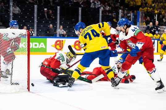 goaltender Marek Langhamer and Matej Stransky of Czech