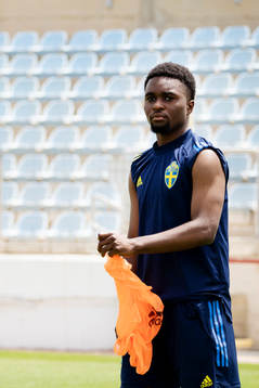 I denna handout-bild från Svenska Fotbollförbundet syns