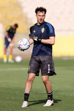 Elis Bishesari