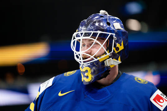 Goalkeeper Marcus Högberg of Sweden