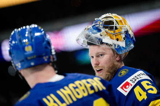 Goalkeeper Magnus Hellberg of Sweden
