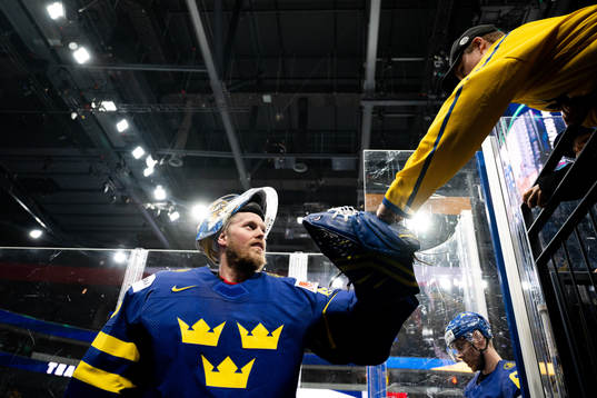 Goalkeeper Magnus Hellberg of Sweden