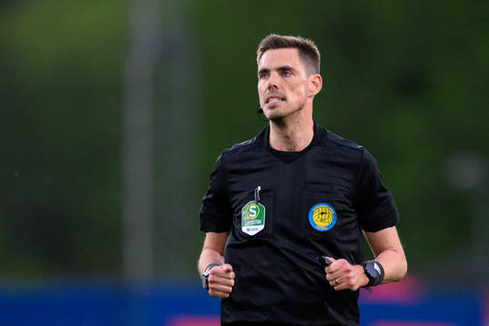 Domare Magnus Lindgren