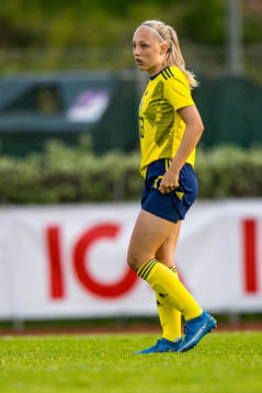 Sveriges Saga Fredgren