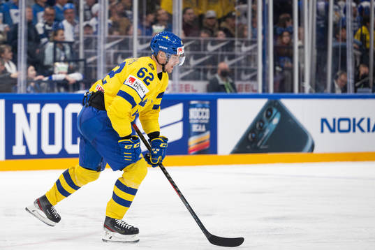 Joel Kellman of Sweden celebrates the 2-2 goal
