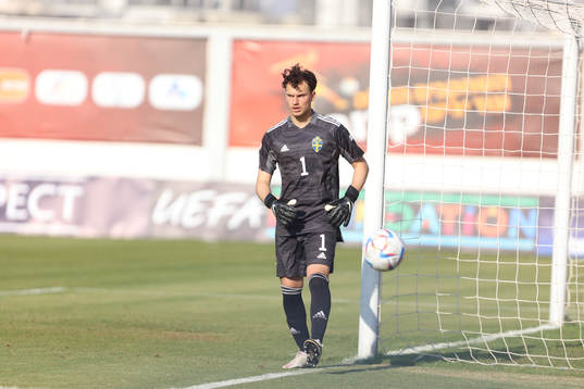 Goalkeeper Elis Bishesari of Sweden