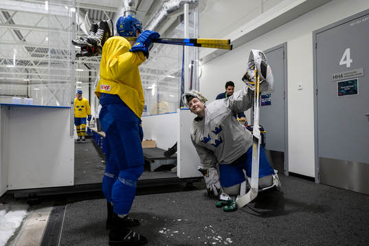 Goaltender Linus Ullmark