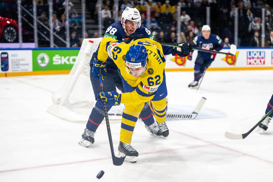 Nate Schmidt of USA and Joel Kellman of Sweden