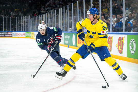 Adam Gaudette of USA and Rasmus Dahlin of Sweden