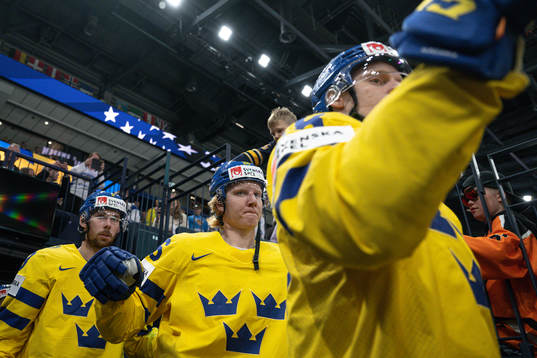 Marcus Pettersson and Rasmus Dahlin of Sweden