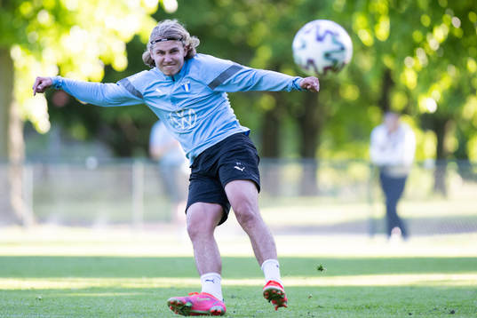 Malmö FFs Sebastian Nansi