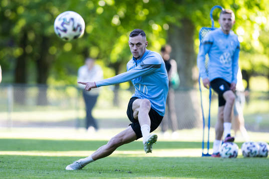 Malmö FFs Veljko Birmancevic