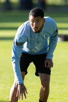 Malmö FFs Sergio Pena