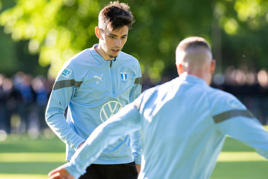 Malmö FFs Dennis Hadzikadunic