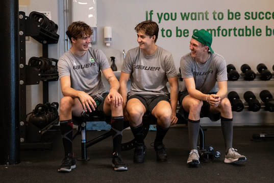 William Wallinder, Daniel Ljungman och Linus Sjödin
