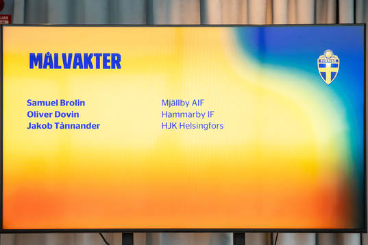 Goalkeepers of the Swedish U21 national football team